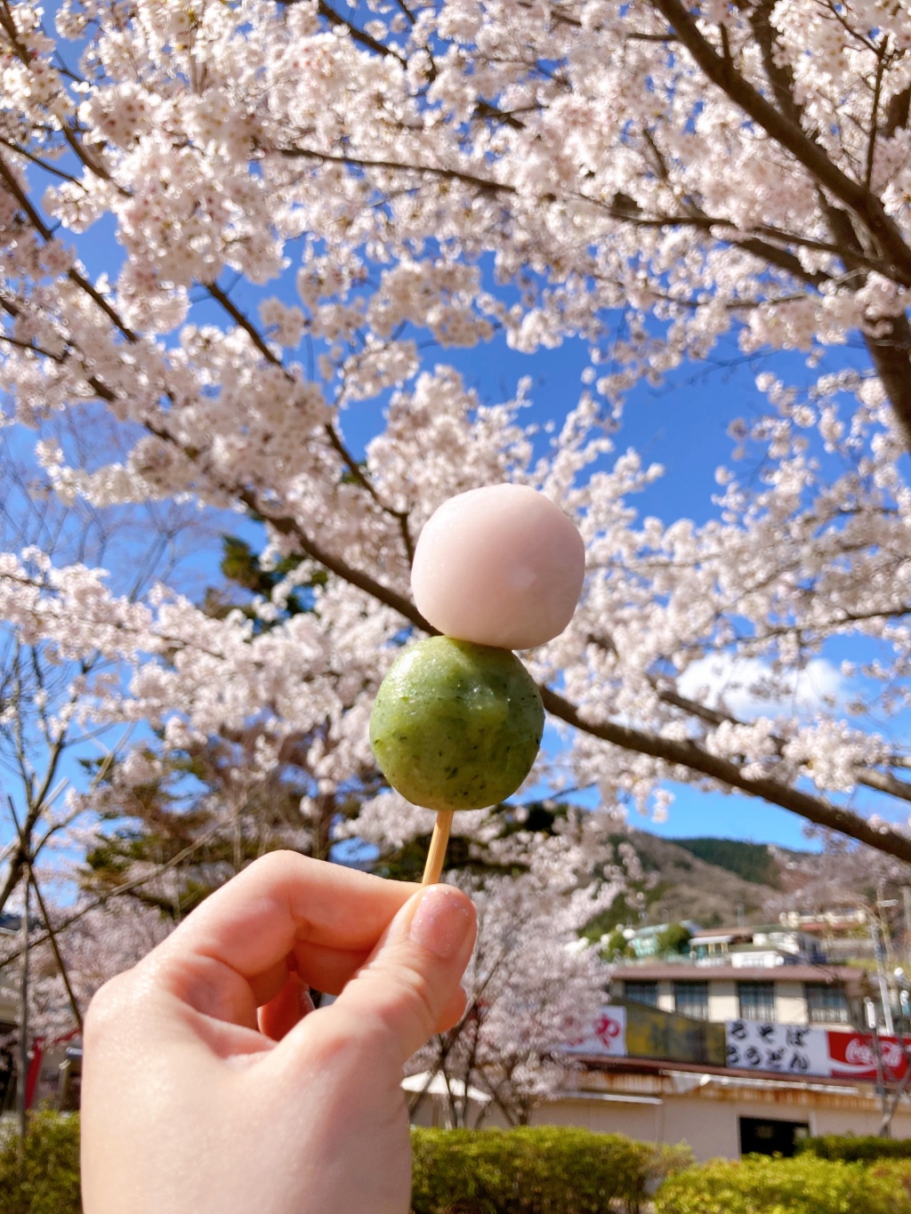 2023年日本賞櫻攻略：櫻花品種、開花日期、東京私房賞櫻景點懶人包！